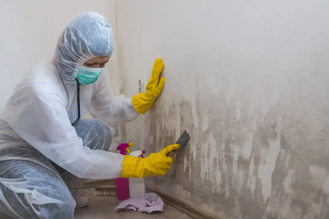 water damage restoration service Bel-Air Estates
